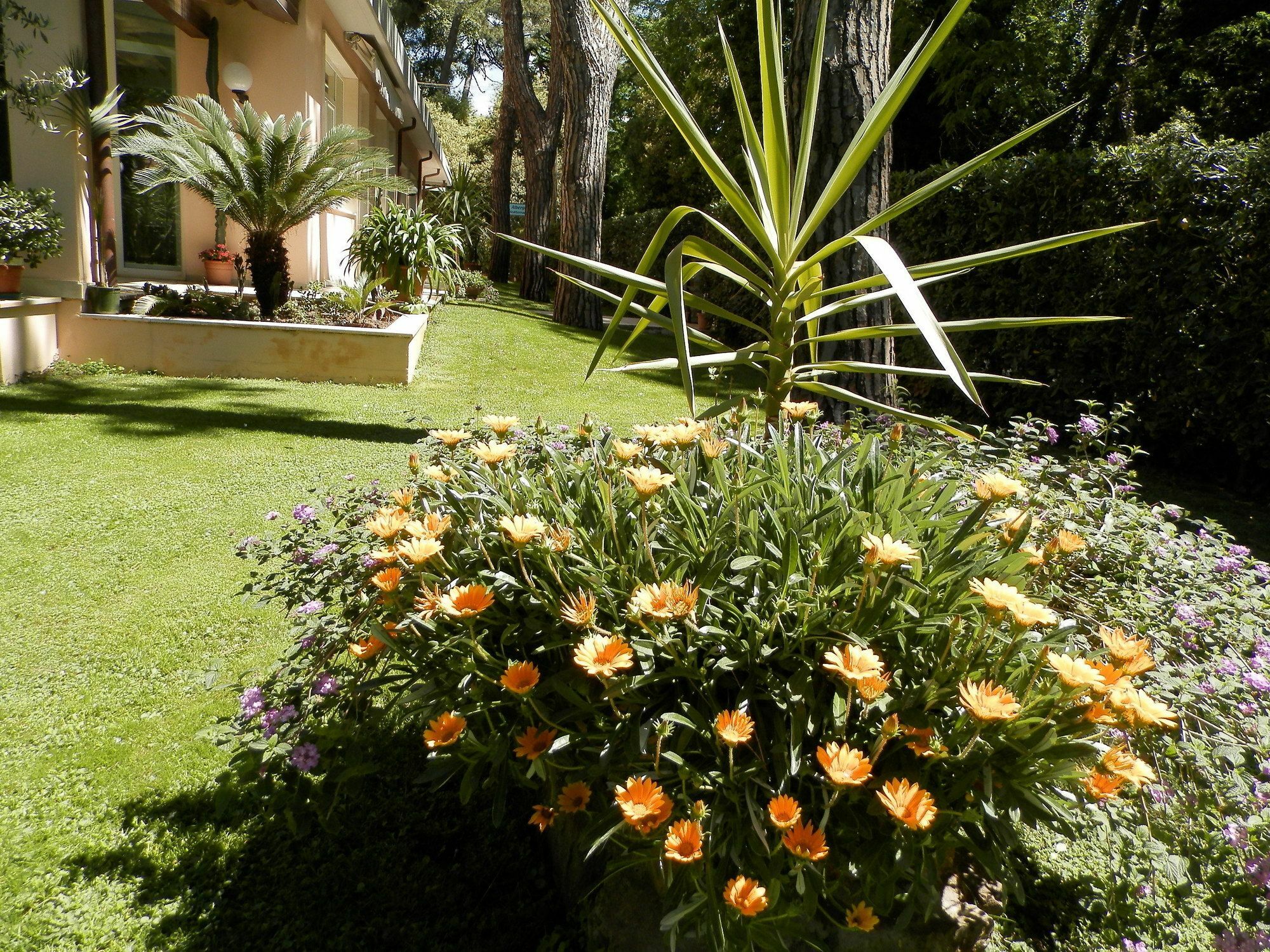 Hotel Mediterraneo Марина ди Пиетрасанта Екстериор снимка